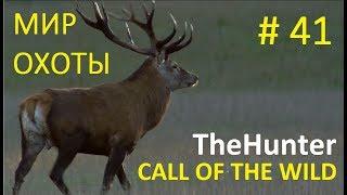 Мир охоты theHunter Call of the Wild # 41