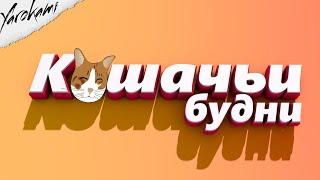 КАК СТАТЬ КОТОМ??? (Cat simulator)