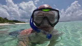 Swimming with Triggerfish, Parrotfish, Moorish Idol, and Giant moray Eel. Гигантская мурена на рифе