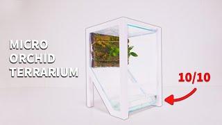 Mini Orchid Terrarium