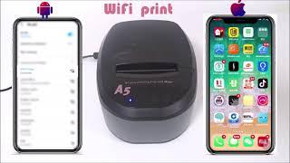 Birch A5 30 Receipt printer