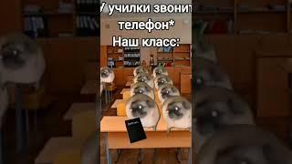 #чундра-чучундра #мем