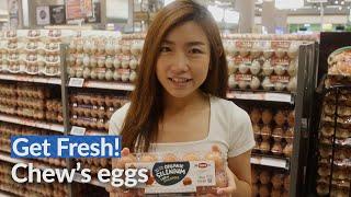 Fresh eggs, farmed locally!   | Get fresh! Ep. 12