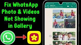 How to Fix WhatsApp images and videos not showing in gallery (Samsung)