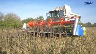 POGET Coupe tournesol et colza avancée