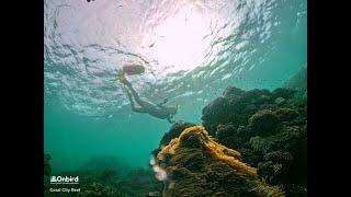 THE HEALTHIEST CORAL REEF IN PHU QUOC ISLAND, VIETNAM | SOFT-ADVENTURE SNORKELING TRIP IN VIETNAM