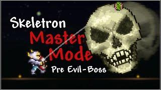 How to DEFEAT Skeletron PRE EVIL BOSS in Terraria 1.4.4 MASTER MODE