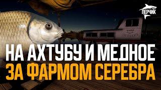 Фарм серебра на Ахтубе и Медном ● Русская рыбалка 4 ● Перчик РР4