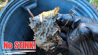 Composting with WORMS and MAGGOTS