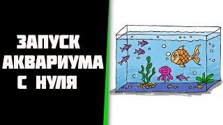 Запуск аквариума с нуля, как я это делаю.