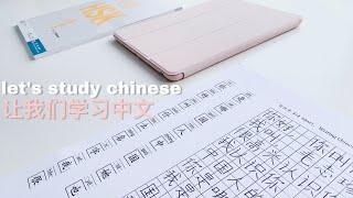 study chinese with me | HSK 1 prep + new flashcards | study vlog