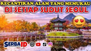 5 Tempat Wisata di Korea yang Wajib Dikunjungi