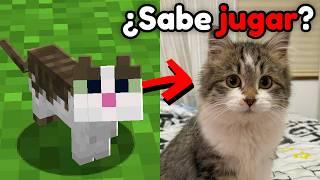 Enseñé a Jugar a Esta GATA y la Añadí a Mi Mundo de Minecraft!