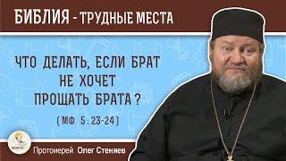 Что делать, если брат не хочет прощать брата (Мф. 5: 23-24)?  Протоиерей Олег Стеняев