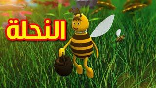 النحلة - قناة بيبي الفضائية | Toyor Baby Channel