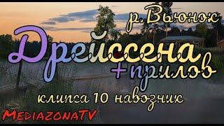 #рр4 р.Вьюнок  Голд наживка + прилов 23.07