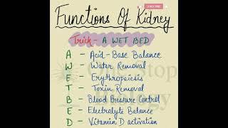 Trick to learn functions of kidney  #shorts #neet #tricks #biology #biologytricks