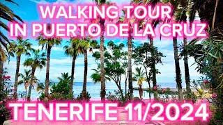 WALKING TOUR IN PUERTO DE LA CRUZ 11/2024