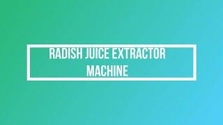 Radish Juice Extractor Machine by Geeli Fabricators, Ahmedabad