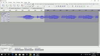 How to Loop part of audio in Audacity