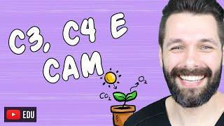 PLANTAS C3, C4 e CAM - Fixação do Carbono na Fotossíntese | Biologia com Samuel Cunha