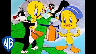 Looney Tunes | Best of Tweety Bird and Sylvester | Classic Cartoon Compilation | WB Kids