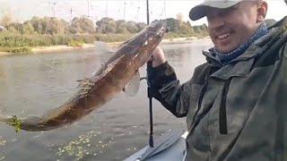 Лунинецкий Рай в деле на реке Припять.