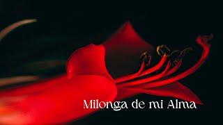 Teaser - Milonga de mi Alma