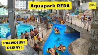 Zobacz jak wygląda Reda Aquapark z rekinami? | Największy i najnowocześniejszy park wodny na Pomorzu