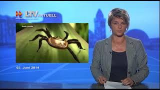 LTV-Aktuell am Dienstag - 07.06.2014