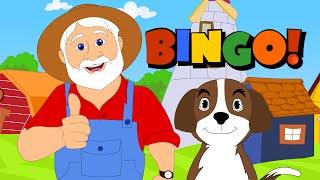 BINGO Dog Song - Nursery Rhymes - Cartoon Animation Rhymes & Songs for Children
