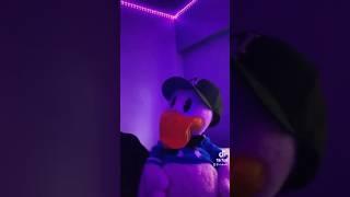Donald Duck suspends Donald Duck #shorts