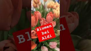 Osterblumen im Supermarkt #aldi #blumen #natur #flora