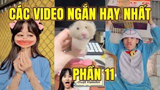 TRẦN VY VY | CÁC VIDEO NGẮN HAY NHẤT PHẦN 11