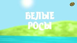 РОДИНА ЛУКАШЕНКО: что там теперь? | ДЕРЕВНЯ БУДУЩЕГО: мраморное мясо, досуг, сельский кейтеринг