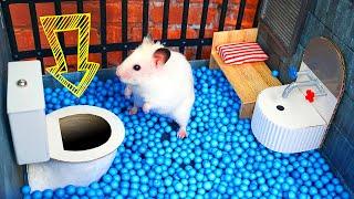  Hamster Escapes the  Creative Maze for Pets in real life  in Hamster Stories