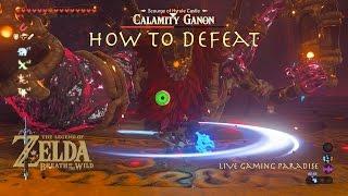 Breath of the Wild - Calamity Ganon Boss Fight Guide