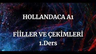 NT2 A1 WERKWOORDEN en VERVOEGİNGEN (fiiller, çekimleri ve cümlede kullanımları) 1.Ders