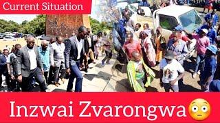 Inzwai Zvarongwa Haa This Time Zanupf Inoparara Apa