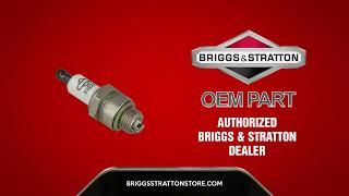 Briggs And Stratton 190Cc Spark Plug 593941 Oem