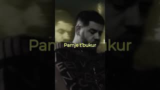 NOIZY - ICON