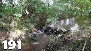 Manual Beaver Dam Removal No.191 - A Small Dam In The Forest