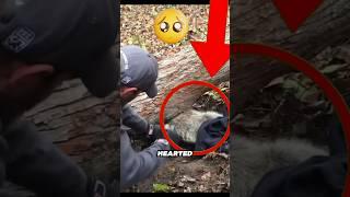 Kind man save raccoon life from danger #shorts #animals