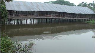 Layer Chicken Farm Over The Pond - Best Idea To Make Money