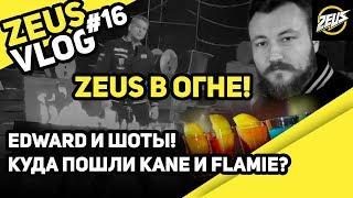 ZEUS VLOG #16: NAVI AT THE RESTAURANT! ZEUS ON FIRE, WHERE DID FLAMIE AND KANE GO? (ENG SUBS)