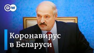 Лукашенко - о ситуации с коронавирусом в Беларуси и выводах экспертов ВОЗ. DW Новости (15.04.2020)