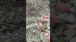 Discover the Spectacular Glass Beach #Glass Beach #California #sea glass