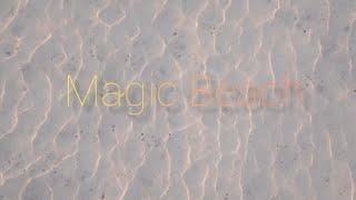 magic Beach - beach sounds for sleep and relaxation [gentle waves, soothing music, healing sounds]