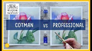 ⭐COTMAN vs PROFESSIONAL - WINSOR & NEWTON tube watercolour paints | Rose Painting (2022)