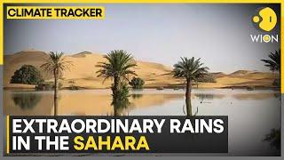 Green Deserts: A Big Tourist Draw | WION Climate Tracker